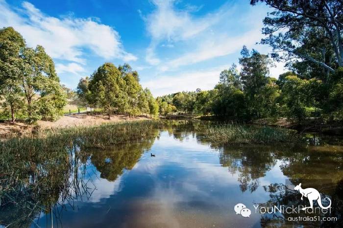 Spring is here. Let's go to Western Sydney Parklands and have a wizard of Oz.