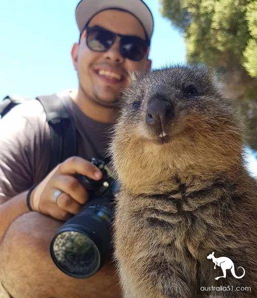 Rotenis Island allround trip 'White Paper', meet the little cute short