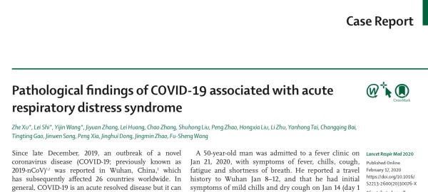 First new coronary pneumonia pathology report released from minimally invasive remains sampling