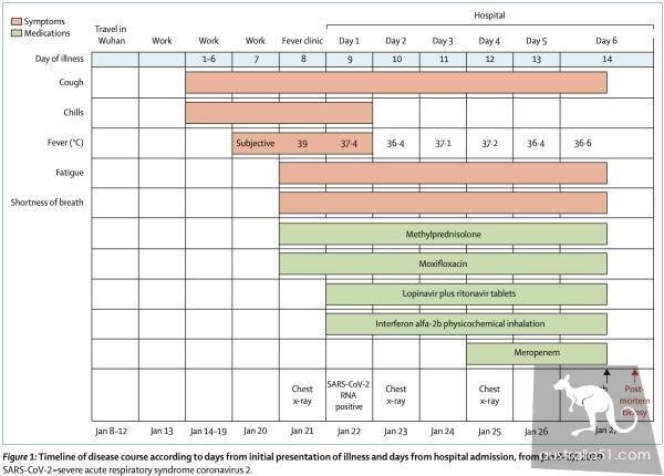 First new coronary pneumonia pathology report released from minimally invasive remains sampling
