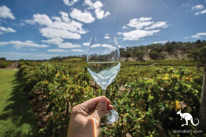 Australia's niche destination guide: Newcastle & Hunter Valley