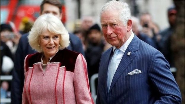 Prince Charles, British Crown Prince, diagnosed with coronavirus 'mild symptoms'