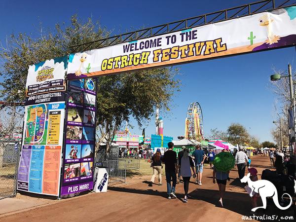 There is a strange 'ostrich festival' in arizona. People eat ostrich burgers and watch the ostrich race. As for ostriches who lose, guess?