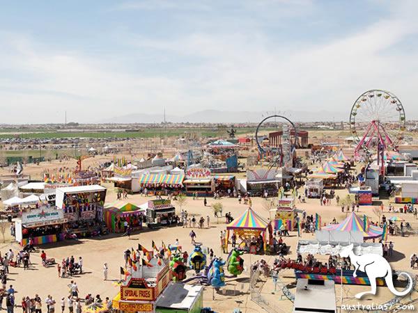 There is a strange 'ostrich festival' in arizona. People eat ostrich burgers and watch the ostrich race. As for ostriches who lose, guess?