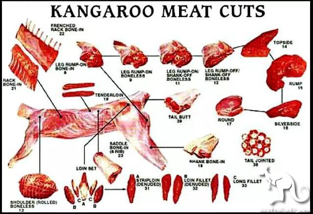 Have you never eaten kangaroo meat in Australia? It turns out that kangaroo meat is so delicious