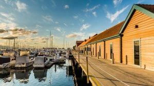 [5D563119-9A49-60D3-41C0-9C1B615FB9A3]