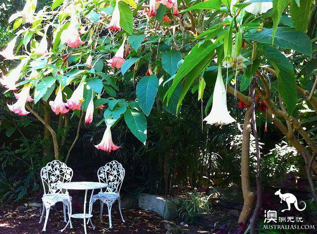 How romantic! These unknown picnic resorts in Sydney are picturesque! Put it away and sign in one by one.