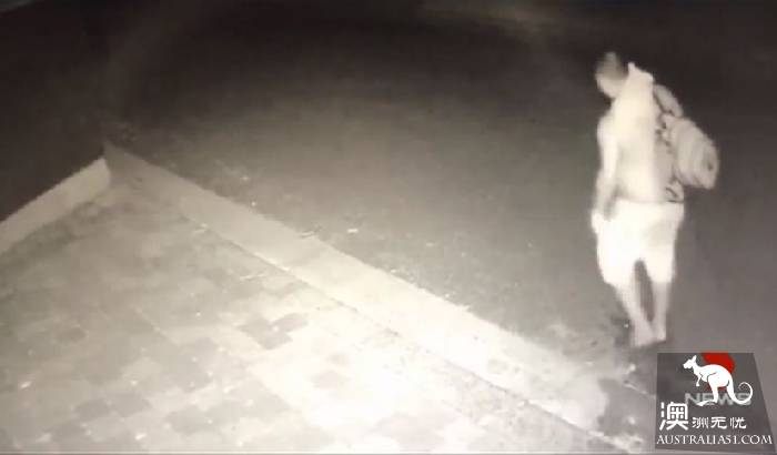 The Brisbane thief went to sleep after stealing, and then it was gone.