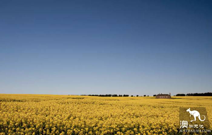 It's officially in the spring! It's a great place to stay in Melbourne. Pick up a card!