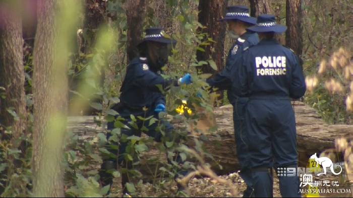 The jungle of southeast Perth, half-buried or more than half a year ago, was found to have been dumped.