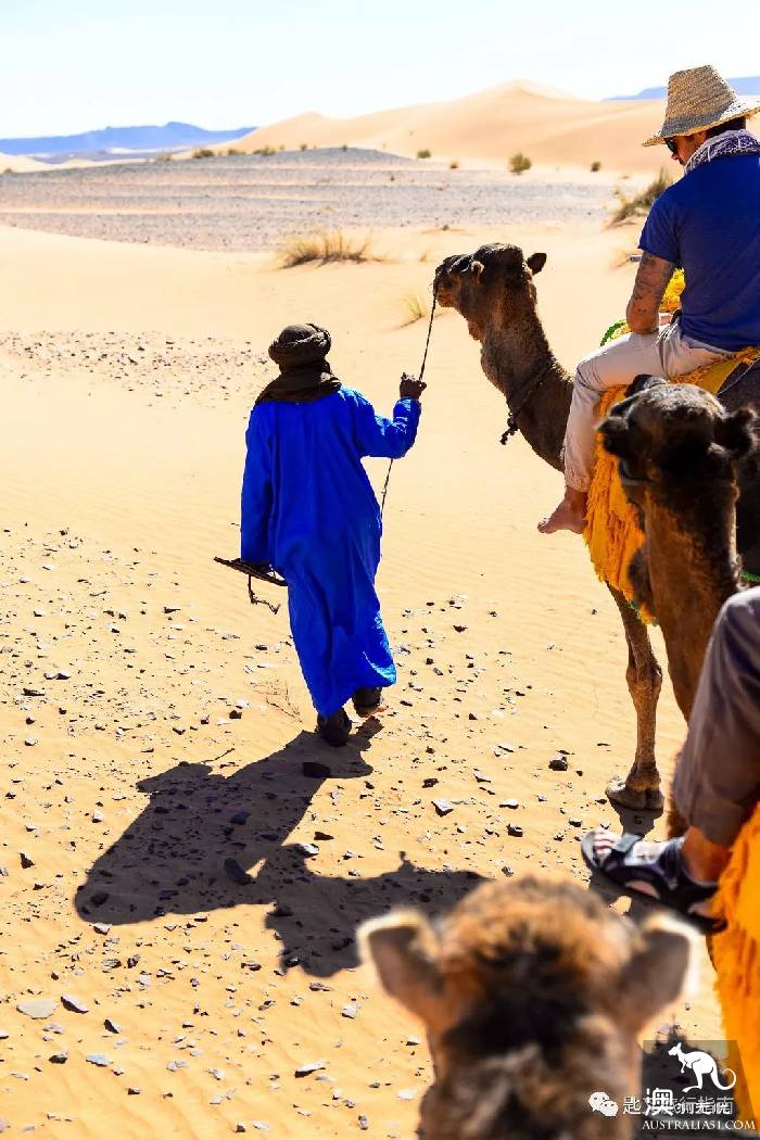 There is a kind of trip called wild luxury, there is a kind of hotel called Glamping