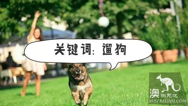 墨尔本公园攻略：喜欢跑步？遛娃？遛狗？这8个绝美公园满足你！