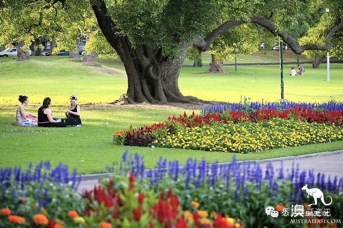 How romantic! These unknown picnic resorts in Sydney are picturesque! Put it away and sign in one by one.