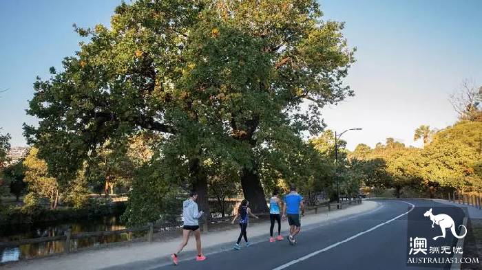 Sydney is the best place to go for a walk in 10 parks. Check in one by one on that sunny day.
