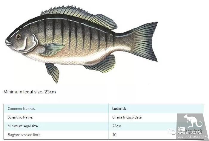 Melbourne short holiday Get Away introduction! Go fishing and enjoy a leisurely journey