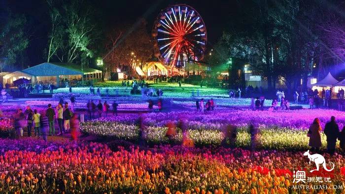 The 101 most beautiful and funniest things in Australia are all here, and there are no regrets to go to the end of this life.