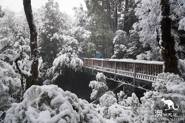 Do you want to go to lullaby in winter? After reading this one, I'll talk about it.