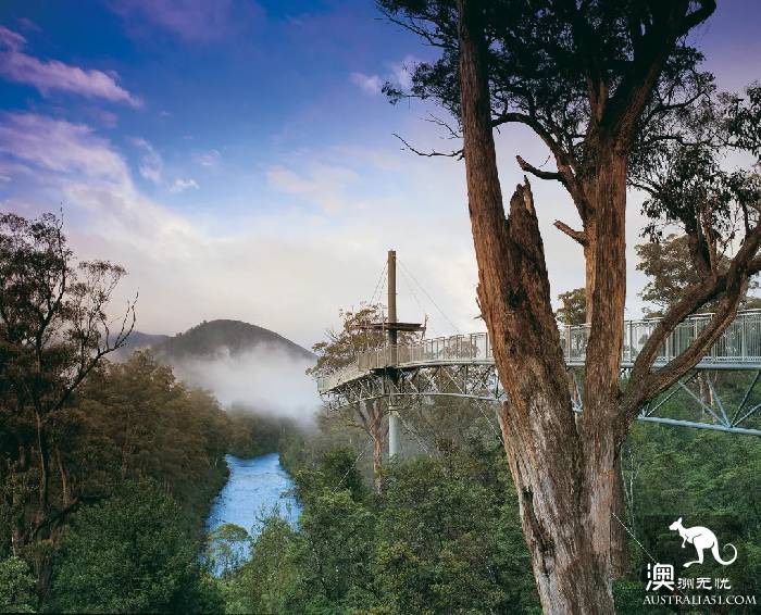塔岛五大经典自驾路线,别再说不知道怎么玩啦