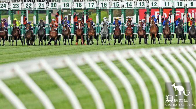 After Melbourne Cup, let's take a look at the past and this life of Melbourne Horse Farm.