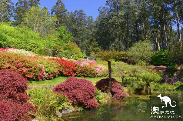 It's officially in the spring! It's a great place to stay in Melbourne. Pick up a card!