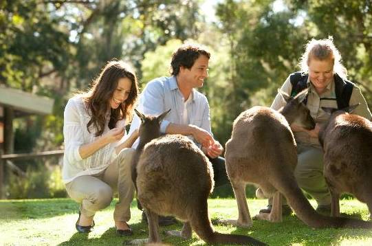 Finally! Melbourne's funniest places list! each Top15 is worth a whole day's play.