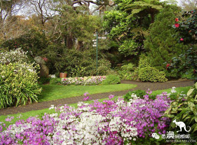 How romantic! These unknown picnic resorts in Sydney are picturesque! Put it away and sign in one by one.