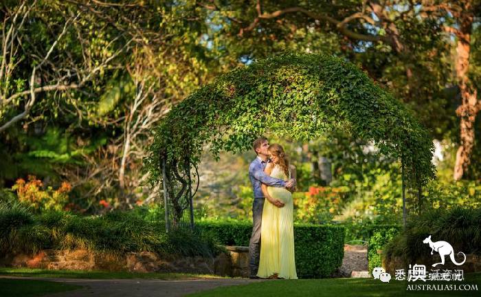 How romantic! These unknown picnic resorts in Sydney are picturesque! Put it away and sign in one by one.