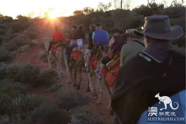 The most complete Ururu travel and tourism introduction, senior players must be required