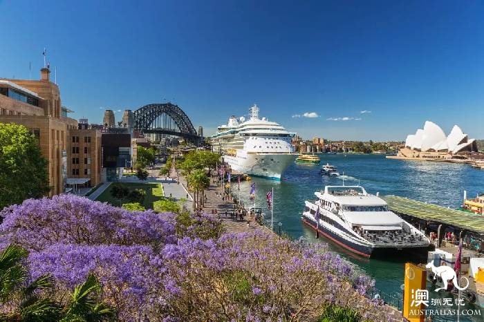 Early spring, Sydney around the 'flirting with grass' full introduction, have you learned?