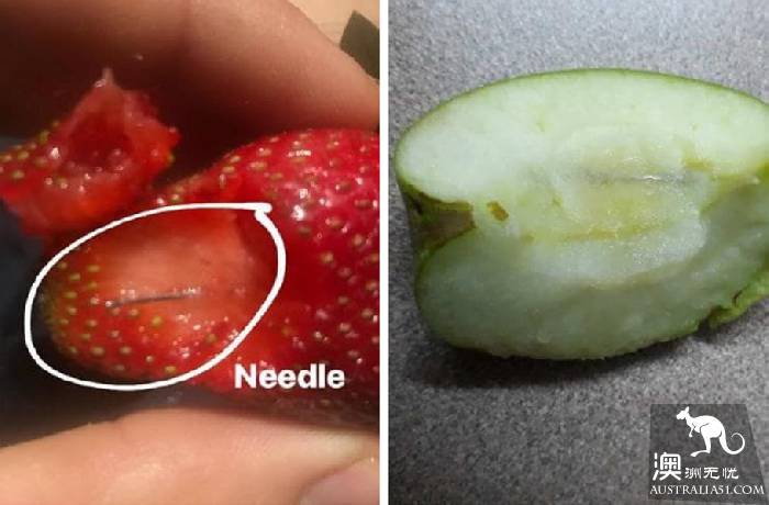 New state government uses DNA detection to find out who killed the strawberry needle culprit.