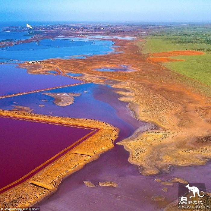 南澳的艾尔湖（Lake Eyre）开始变得色彩缤纷，吸引了大批游客前往