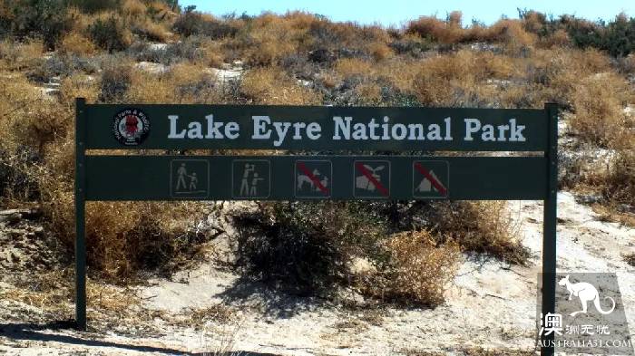 Lake El: the most mysterious lake in Australia, only once in 25 years.