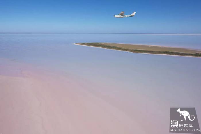 Lake El: the most mysterious lake in Australia, only once in 25 years.