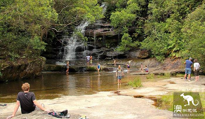 How romantic! These unknown picnic resorts in Sydney are picturesque! Put it away and sign in one by one.