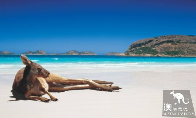 Ten million small towns in Australia, these 10 towns are most worthy of your visit.