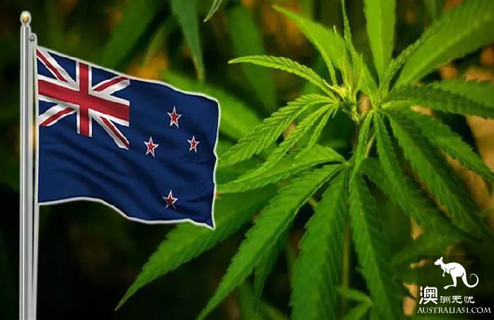 New Zealand may legalize marijuana in 2020, Australian MP: Australia follows up immediately
