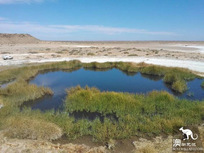 Lake El: the most mysterious lake in Australia, only once in 25 years.