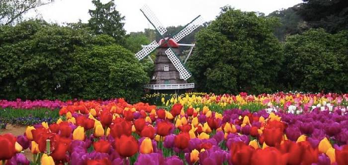 It's officially in the spring! It's a great place to stay in Melbourne. Pick up a card!