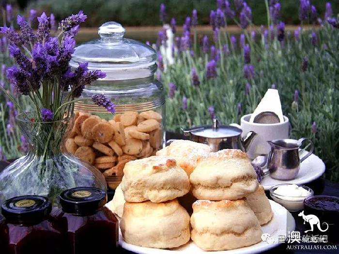 Victoria four famous lavender flowers sea the strongest introduction! Across to Provence in an instant.