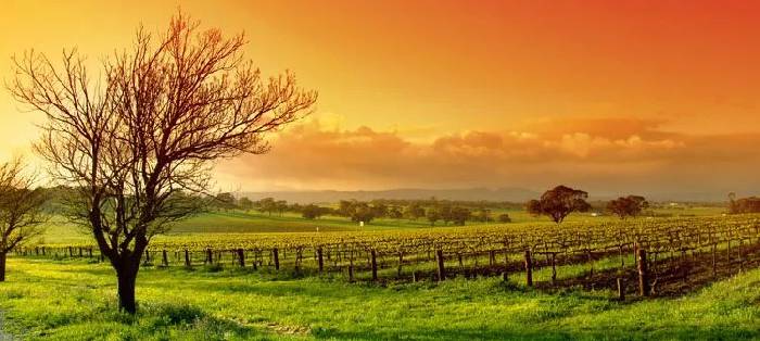 The 101 most beautiful and funniest things in Australia are all here, and there are no regrets to go to the end of this life.