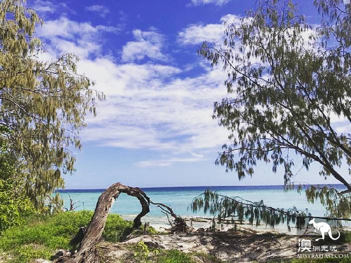 私藏的绝美珊瑚礁：怀抱中的马斯格雷夫夫人岛（Lady Musgrave Island）​