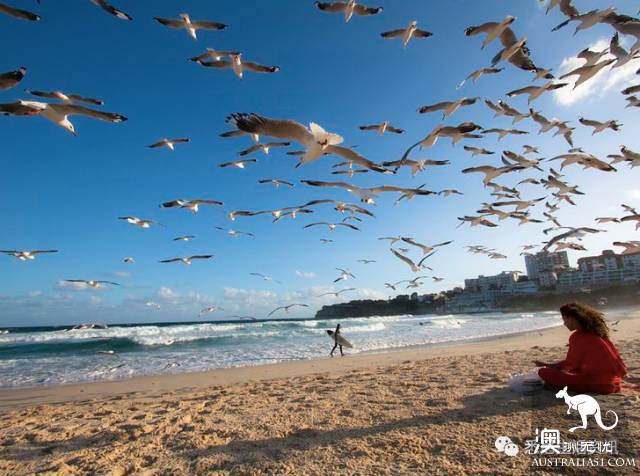 It's beautiful! 90% of Sydney's 12 beaches don't know!