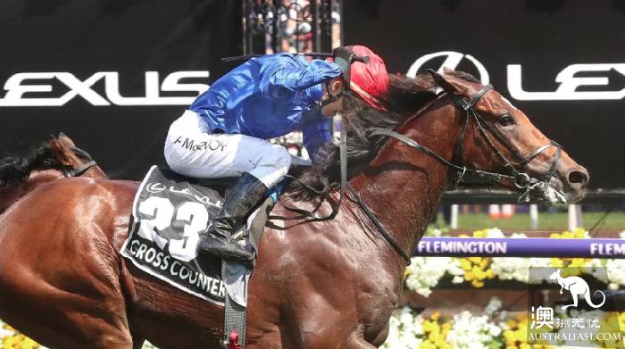 Melbourne Cup champion foal came out, who was the winner of the 4 million-dollar prize?