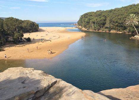 How romantic! These unknown picnic resorts in Sydney are picturesque! Put it away and sign in one by one.