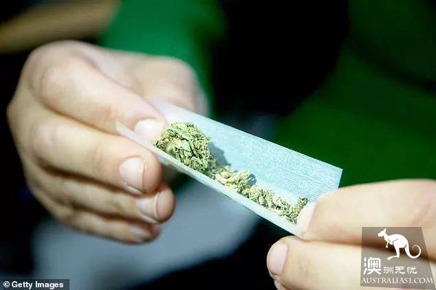 New Zealand may legalize marijuana in 2020, Australian MP: Australia follows up immediately