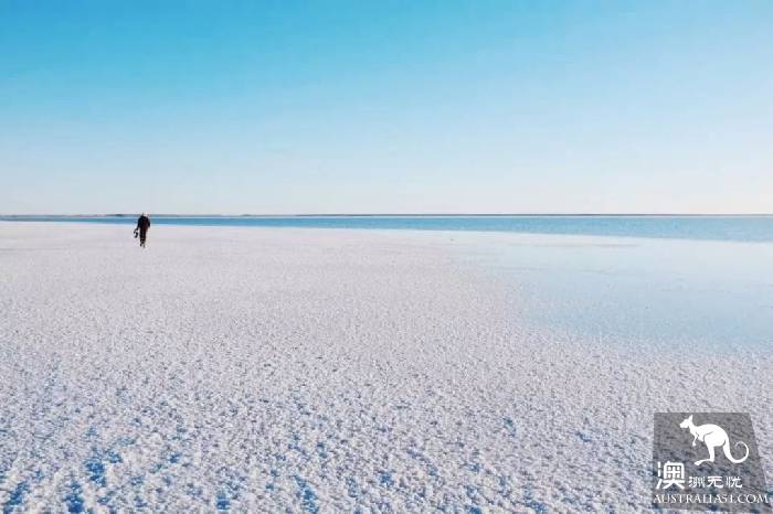 Lake El: the most mysterious lake in Australia, only once in 25 years.