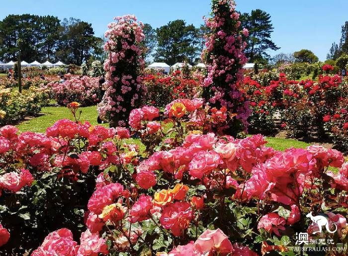 It's officially in the spring! It's a great place to stay in Melbourne. Pick up a card!