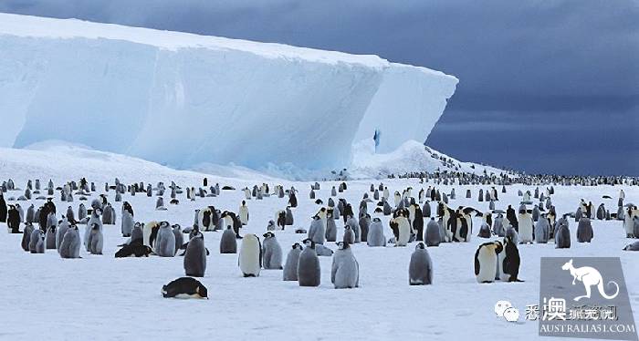 Sydney is too hot! I'm going to the south. The most beautiful polar flight in the world is leaving once a year.