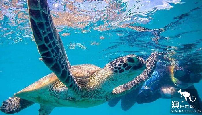 私藏的绝美珊瑚礁：怀抱中的马斯格雷夫夫人岛（Lady Musgrave Island）​