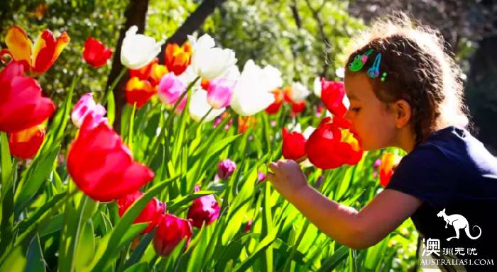 It's officially in the spring! It's a great place to stay in Melbourne. Pick up a card!
